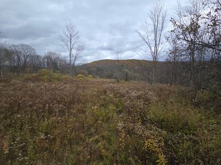 Land for sale in Cortland County, New York