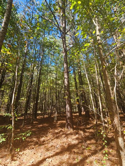 Farm and Ranch for sale in Cherokee County, Alabama