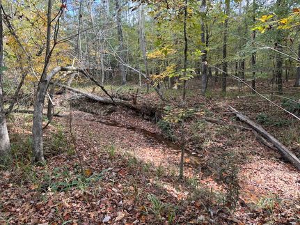 Land for sale in Harris County, Georgia