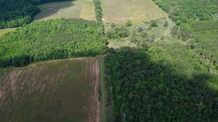 Land for sale in Randolph County, Georgia