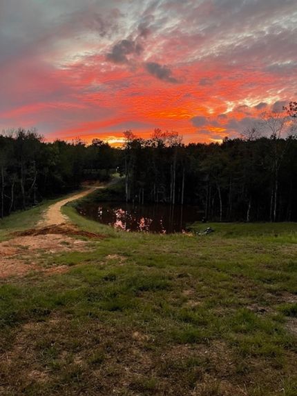 Land for sale in Quitman County, Georgia