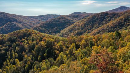 Hunting Property for sale in Jackson County, North Carolina