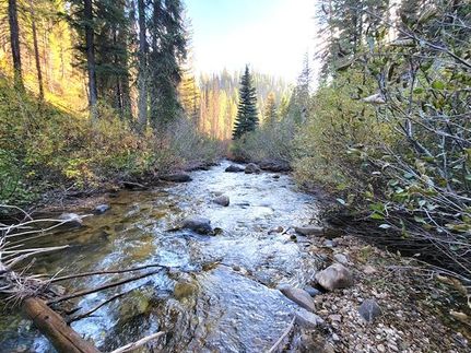 Riverfront Property for sale in Boise County, Idaho