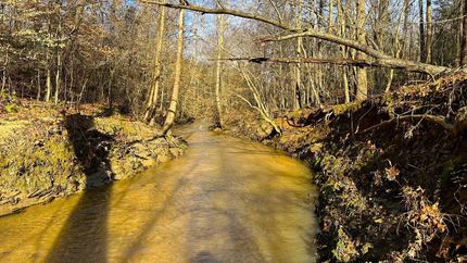 Undeveloped Land for sale in Elbert County, Georgia