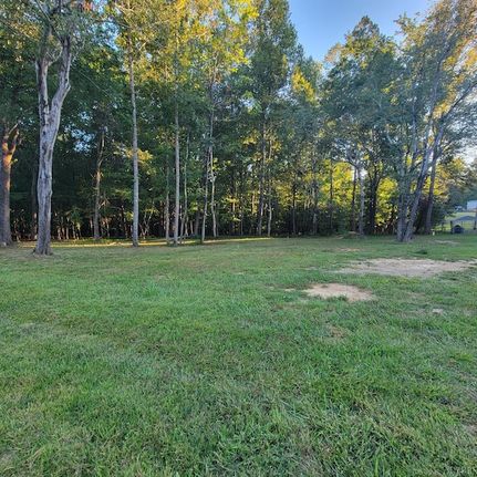 Undeveloped Land for sale in Campbell County, Virginia