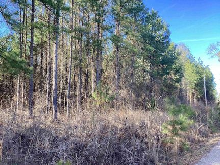 Land for sale in Ouachita County, Arkansas