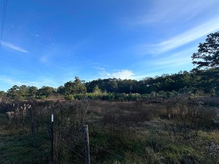 Undeveloped Land for sale in Orange County, Texas