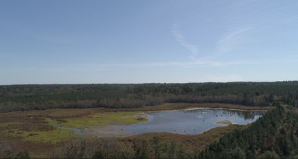 Farm and Ranch for sale in Bulloch County, Georgia