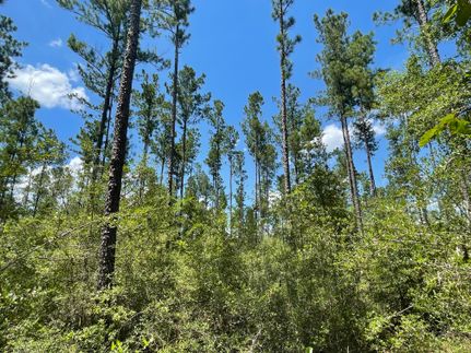 Recreational Property for sale in Holmes County, Florida