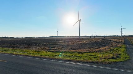 Farm and Ranch for sale in Steele County, Minnesota