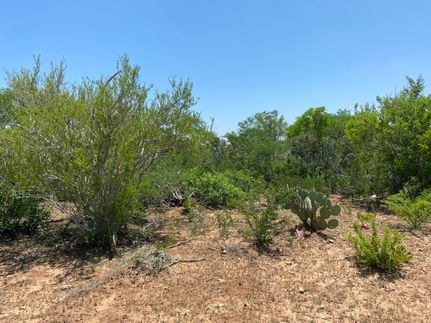 Hunting Property for sale in Duval County, Texas