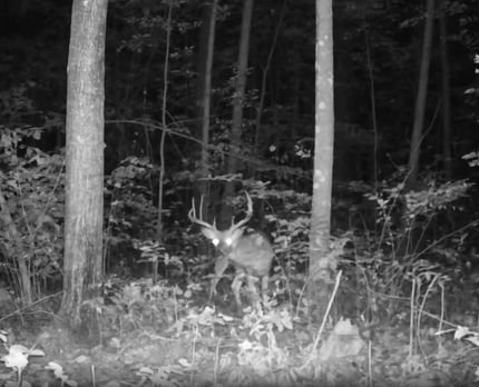 Recreational Property for sale in Mille Lacs County, Minnesota