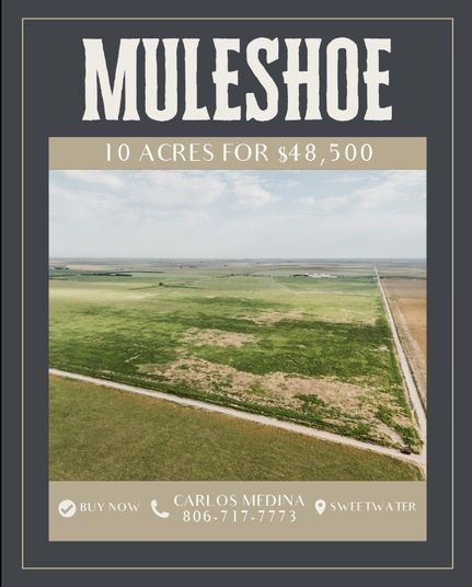 Undeveloped Land for sale in Bailey County, Texas