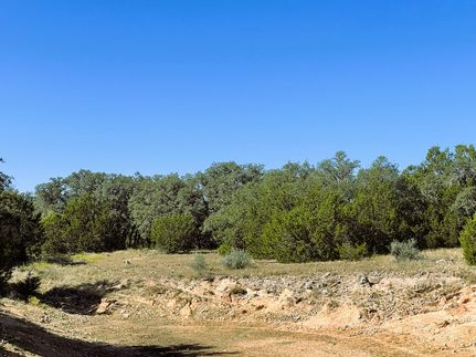 Timberland Property for sale in Mills County, Texas