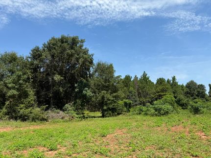 Hunting Property for sale in Stewart County, Georgia