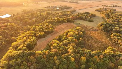 Land for sale in Shelby County, Illinois