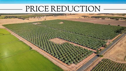 Land for sale in Butte County, California