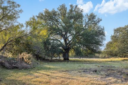 Undeveloped Land for sale in McCulloch County, Texas