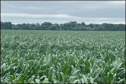 Land for sale in Pierce County, Nebraska