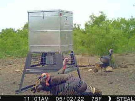 Land for sale in McCulloch County, Texas