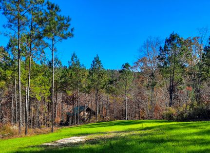 Recreational Property for sale in Winston County, Alabama