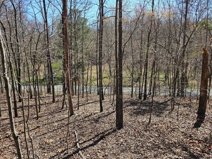 Land for sale in Polk County, Georgia