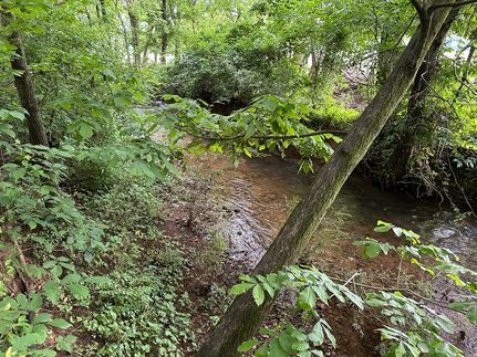 Horse Property for sale in Polk County, Georgia