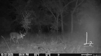 Land for sale in Woodson County, Kansas