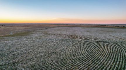 Farm and Ranch for sale in Lamb County, Texas