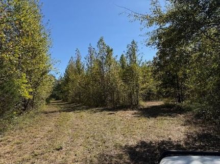 Farm and Ranch for sale in Fayette County, Tennessee