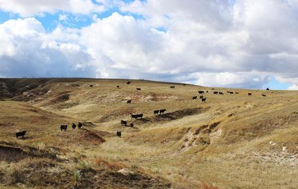 Recreational Property for sale in Box Butte County, Nebraska