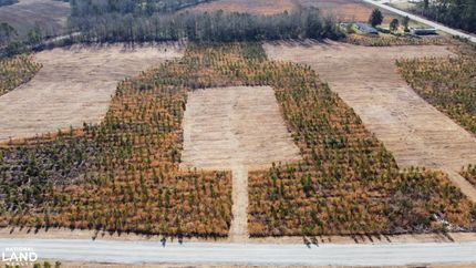 Farm and Ranch in Berkeley County, South Carolina