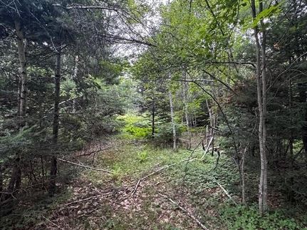 Land for sale in Somerset County, Maine