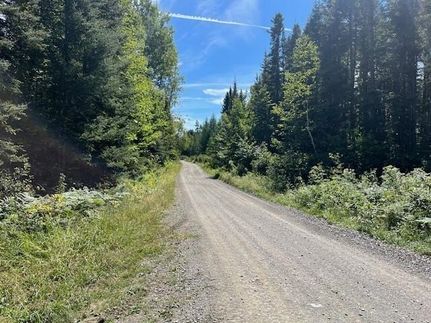 Land for sale in Aroostook County, Maine
