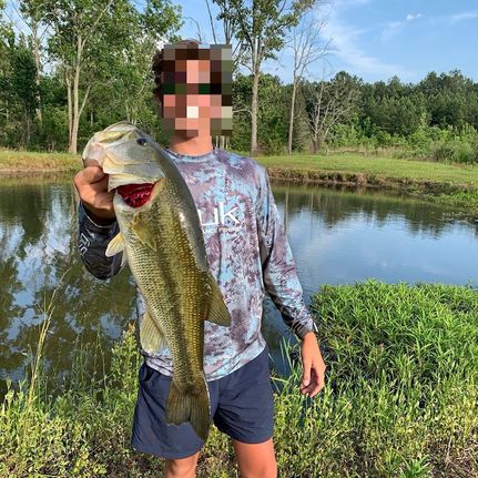 Oceanfront Property in Saint Clair County, Alabama