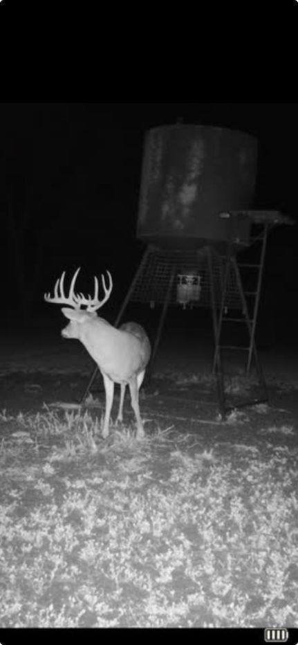 Timberland Property for sale in Bourbon County, Kansas