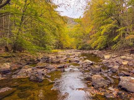 Land for sale in Webster County, West Virginia