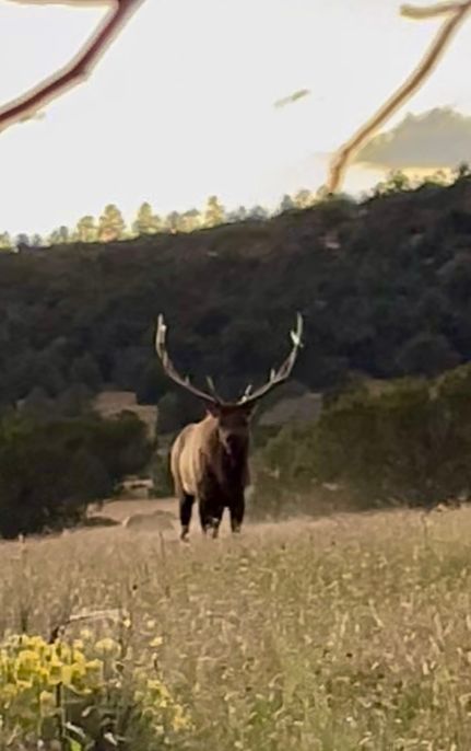 Land for sale in McKinley County, New Mexico