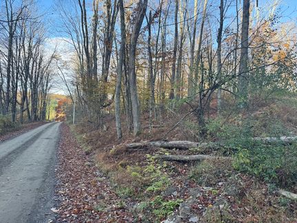 Timberland Property for sale in Susquehanna County, Pennsylvania