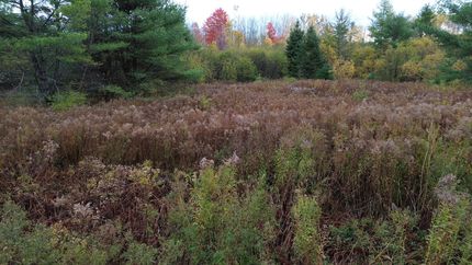 Timberland Property for sale in Piscataquis County, Maine