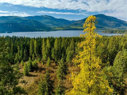 Timberland Property in Sanders County, Montana