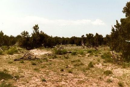 Homesite for sale in Apache County, Arizona