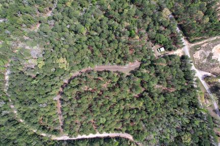 Undeveloped Land for sale in Jasper County, Texas