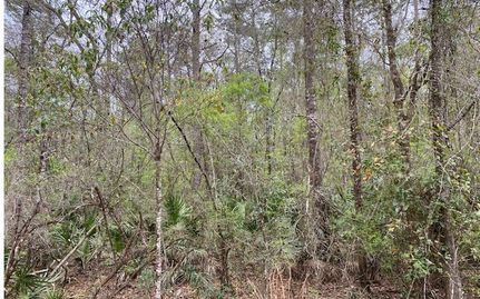 Land for sale in Lafayette County, Florida