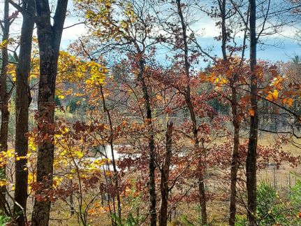 Land for sale in Marinette County, Wisconsin