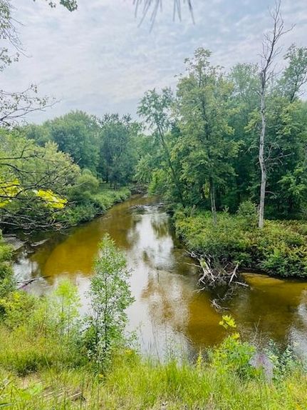 Undeveloped Land for sale in Oceana County, Michigan