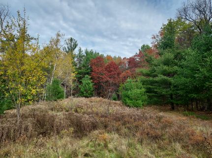 Land for sale in Marinette County, Wisconsin