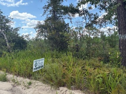 Timberland Property for sale in Hamilton County, Florida
