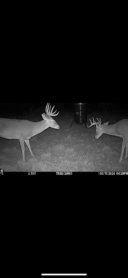 Land for sale in Schleicher County, Texas