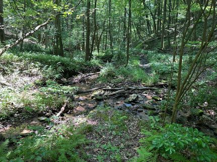 Farm and Ranch for sale in Alexander County, North Carolina